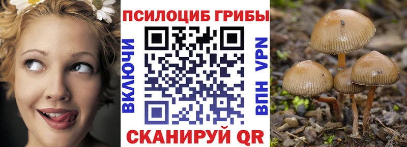 Псилоцибиновые грибы прущие грибы  Вольск 